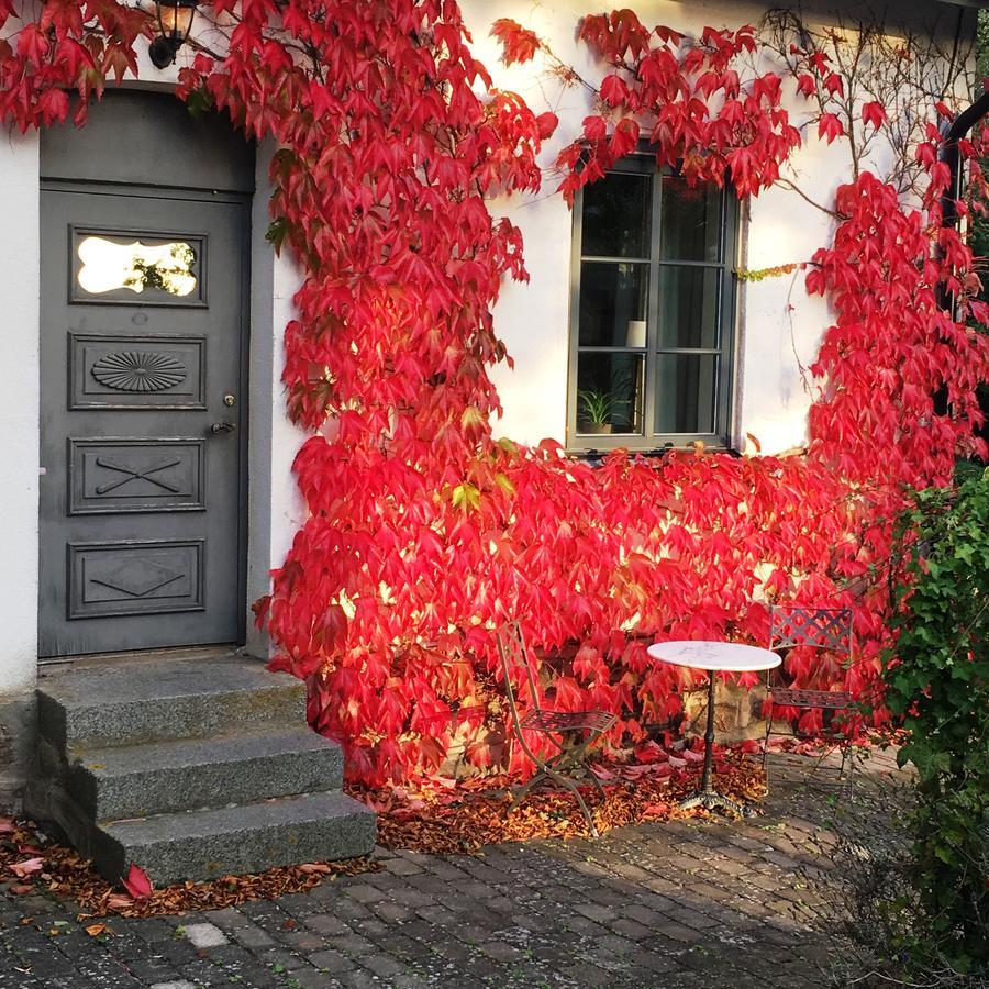 Borregarden Bed & Breakfast Borrby Bagian luar foto